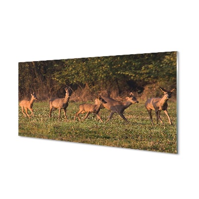 Tableau en verre Sunrise golf cerf