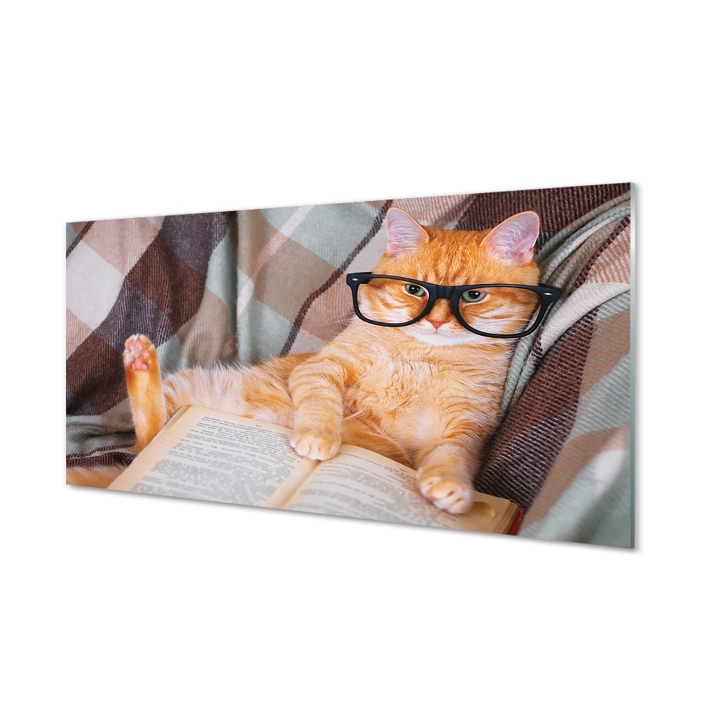 Tableau verre imprimé Le chat de lecteur
