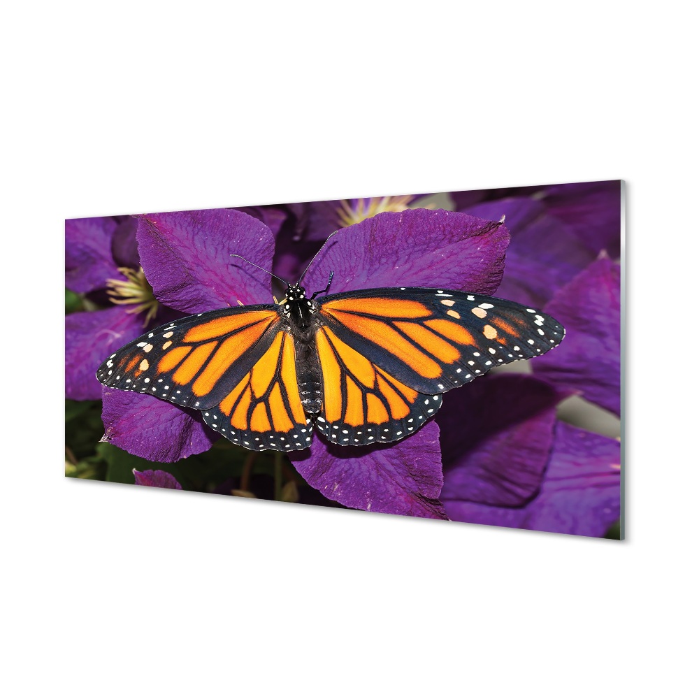 Tableau en verre Fleurs papillon coloré