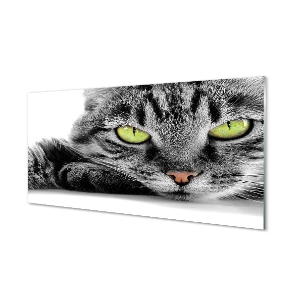 Tableau sur verre Chat gris-noir