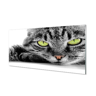 Tableau sur verre Chat gris-noir