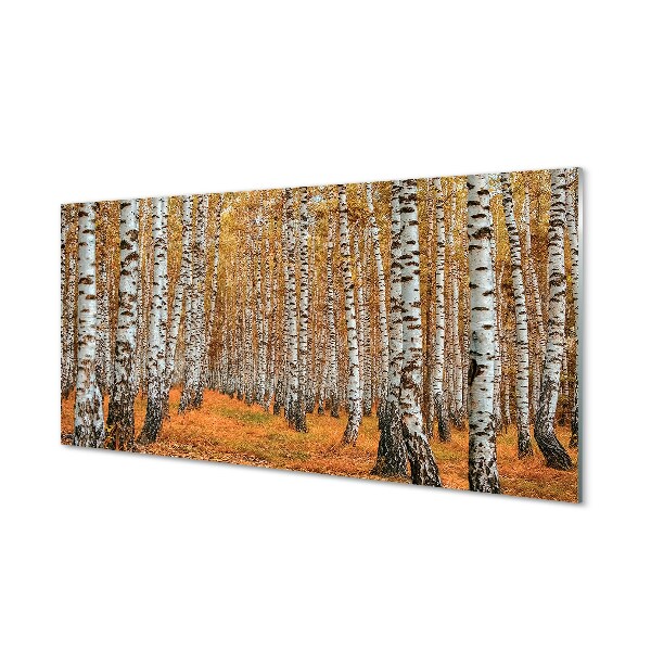 Tableau imprimé sur verre Arbres d'automne