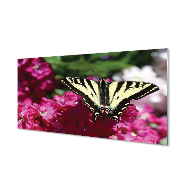 Tableau photo sur verre Papillon fleurs