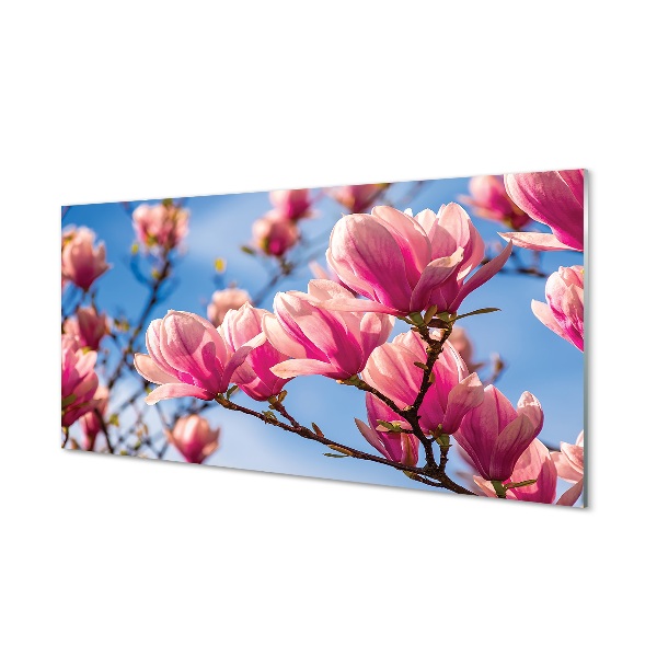 Tableau photo sur verre Fleurs d'arbres