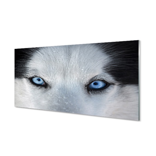 Tableau imprimé sur verre Yeux de loup