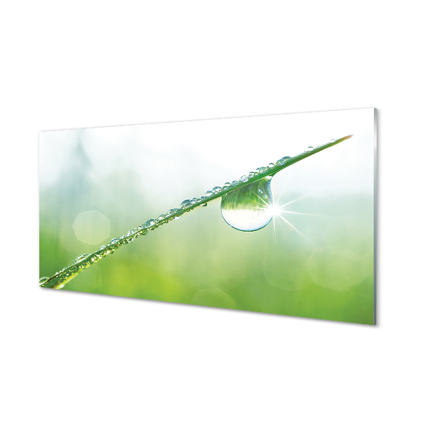 Tableau sur verre Goutte herbe macro