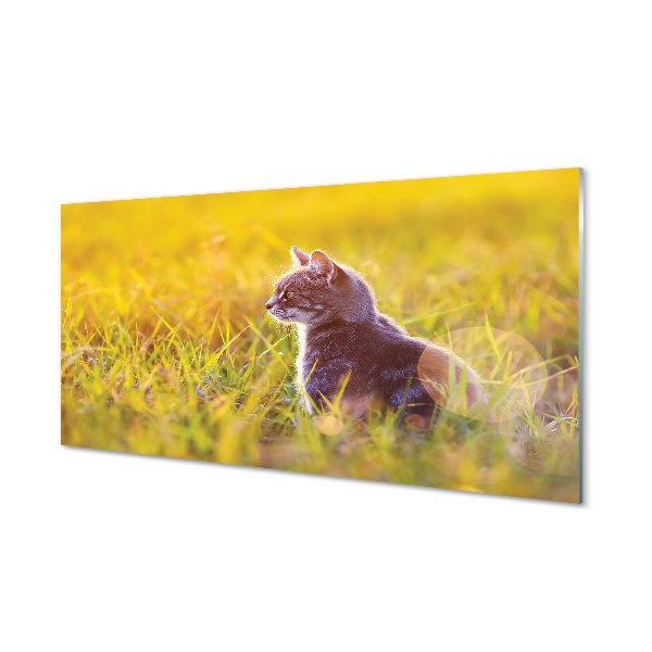 Tableau photo sur verre Chat de chasse