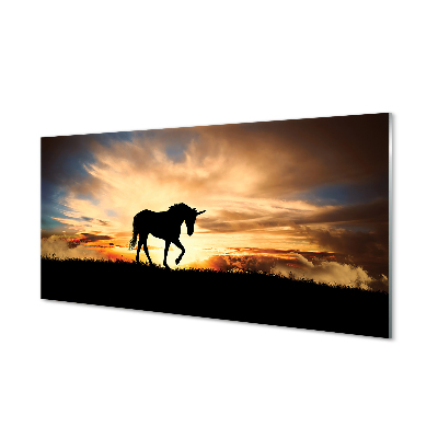 Tableau photo sur verre Coucher du soleil unicorn