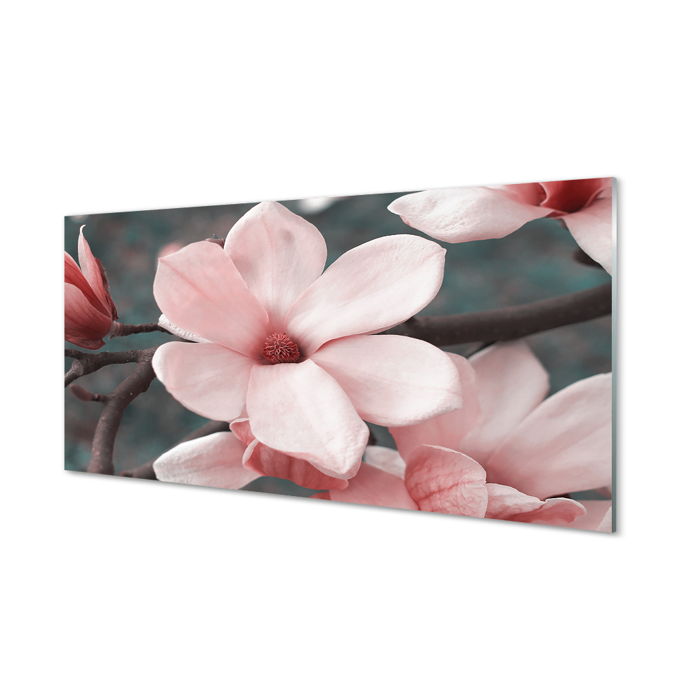 Tableau en verre Fleurs roses