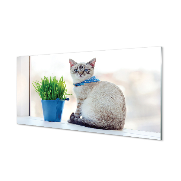 Tableau sur verre Chat assis