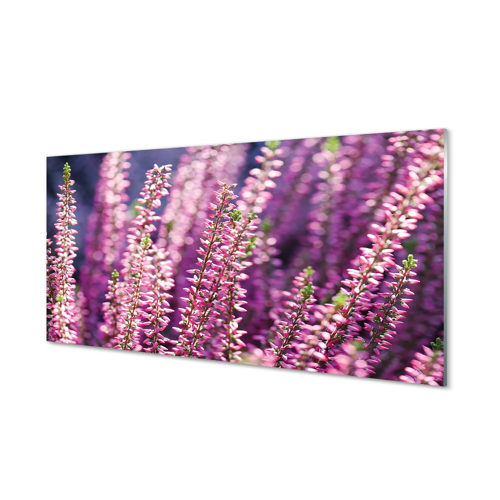 Tableau sur verre Fleurs