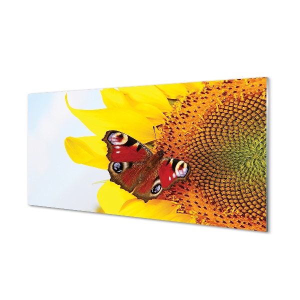 Tableau photo sur verre Papillon de tournesol