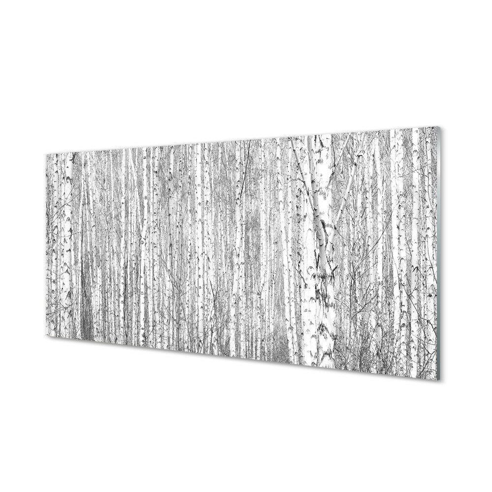 Tableau verre imprimé Forêt de noir et blanc