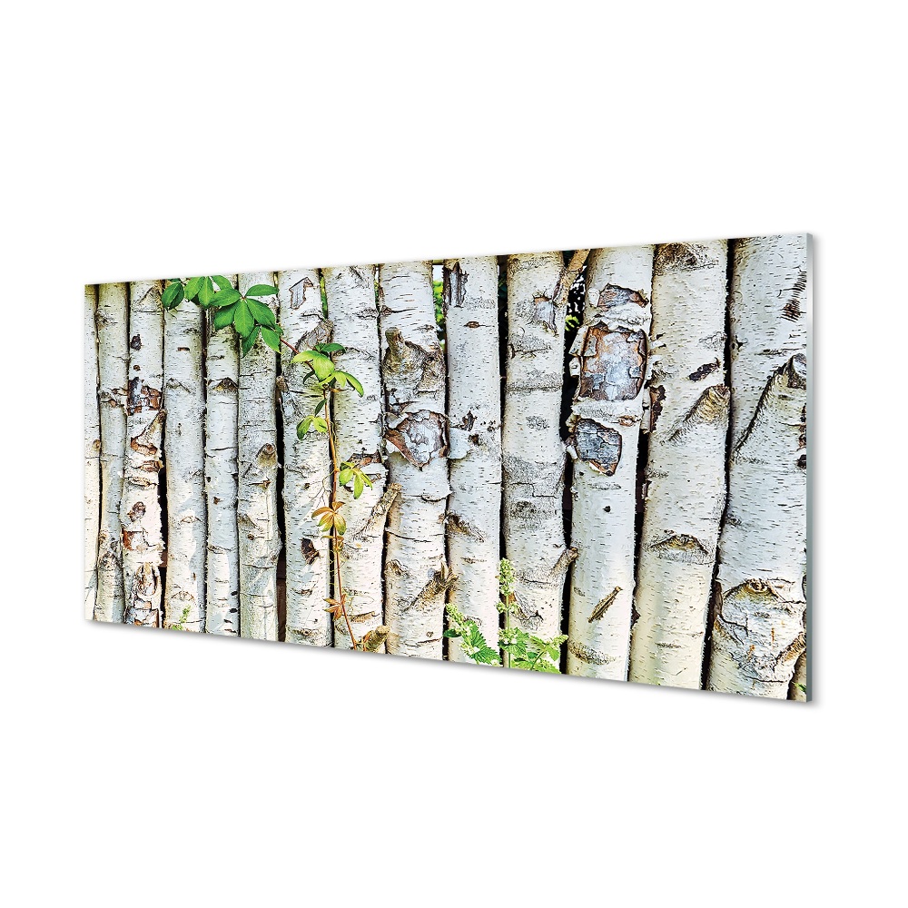 Tableau en verre Feuilles de bouleau