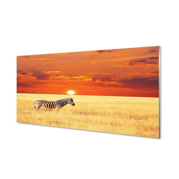 Tableau photo sur verre Zebra coucher du soleil sur le terrain