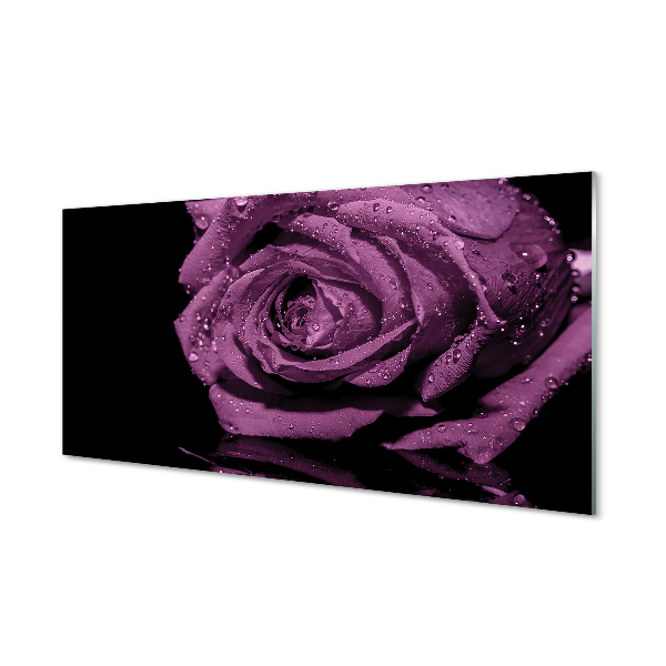 Tableau imprimé sur verre Rose pourpre