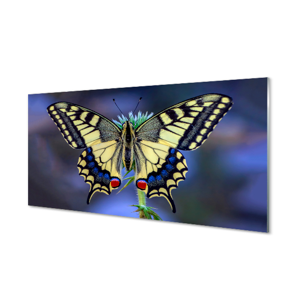 Tableau verre imprimé Papillon sur une fleur