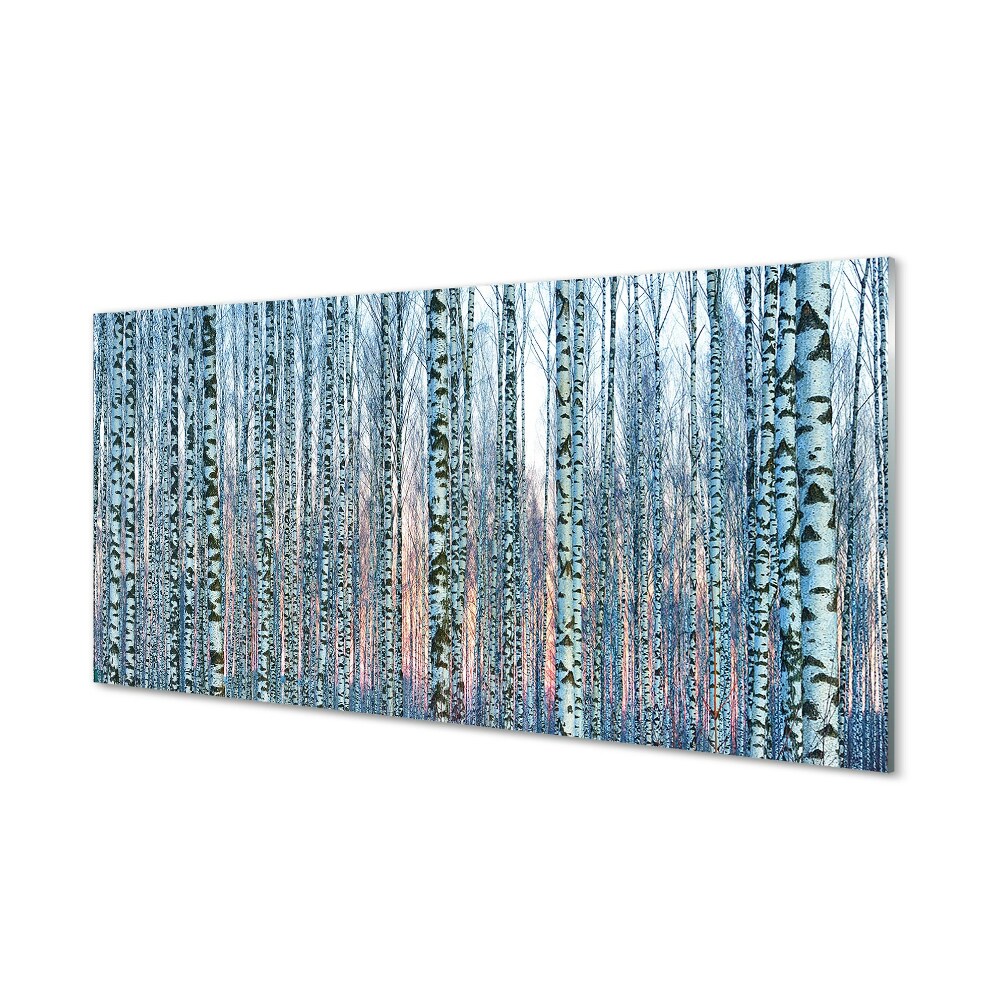 Tableau sur verre Coucher du soleil de la forêt de bouleaux