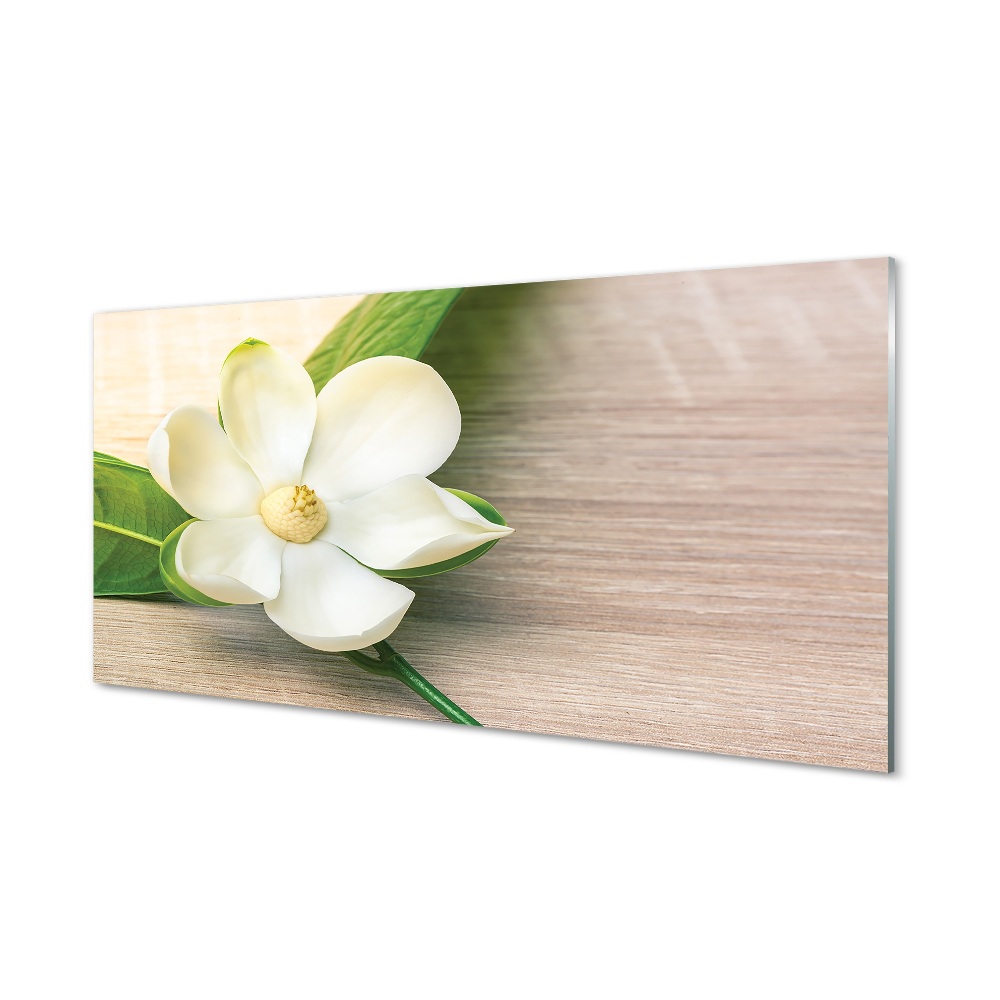 Tableau imprimé sur verre Magnolia blanc