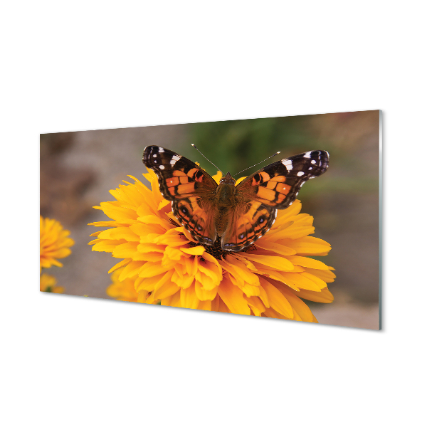 Tableau photo sur verre Fleur papillon coloré