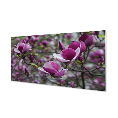 Tableau verre imprimé Magnolias violet