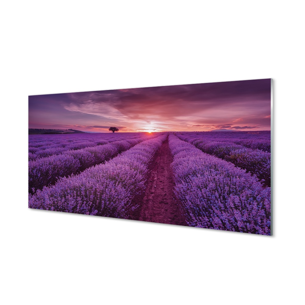 Tableau photo sur verre Bruyères sur le terrain