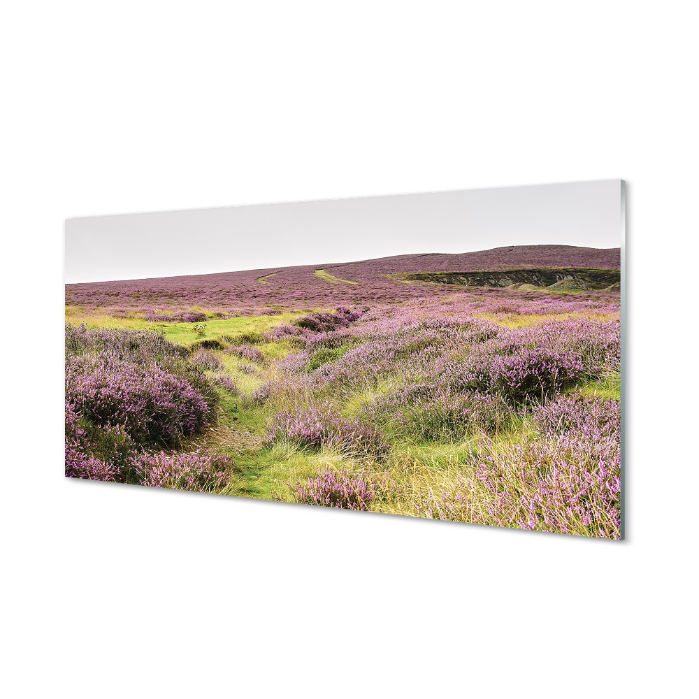 Tableau en verre Bruyères sur le terrain