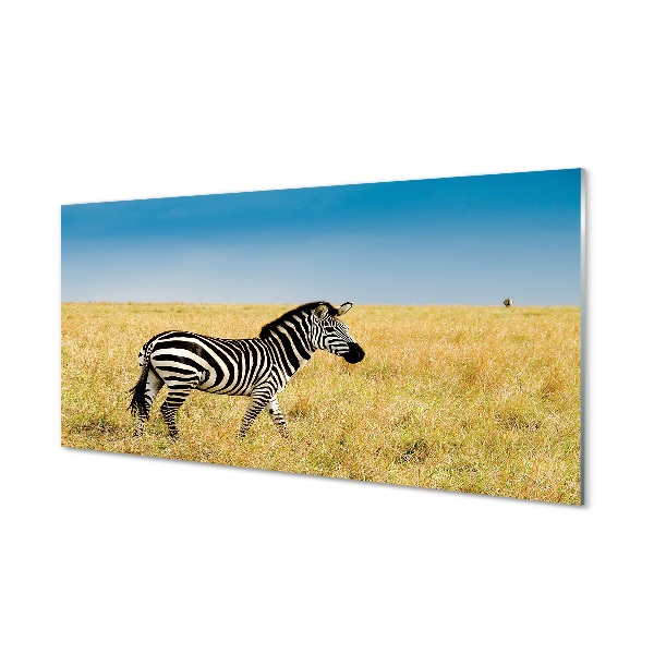 Tableau sur verre Boîte zebra