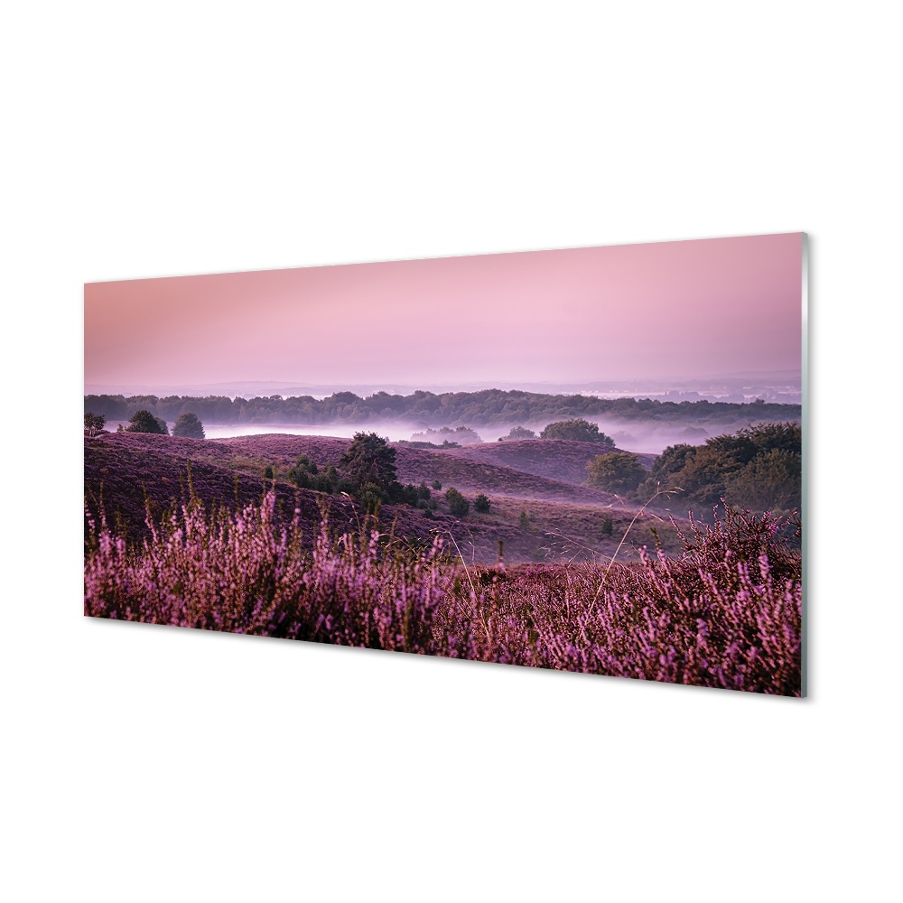Tableau sur verre Bruyères sur le terrain
