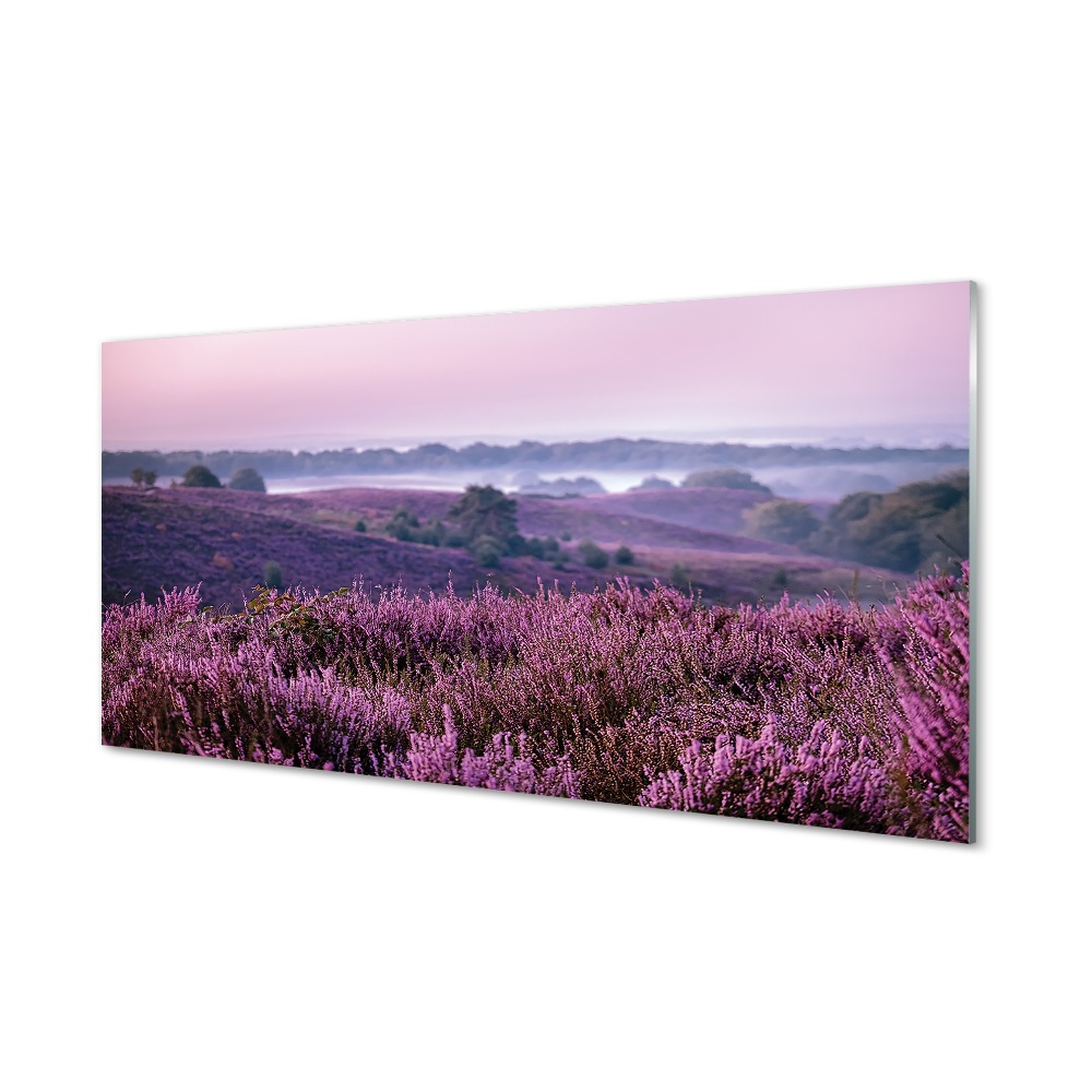 Tableau imprimé sur verre Bruyères sur le terrain