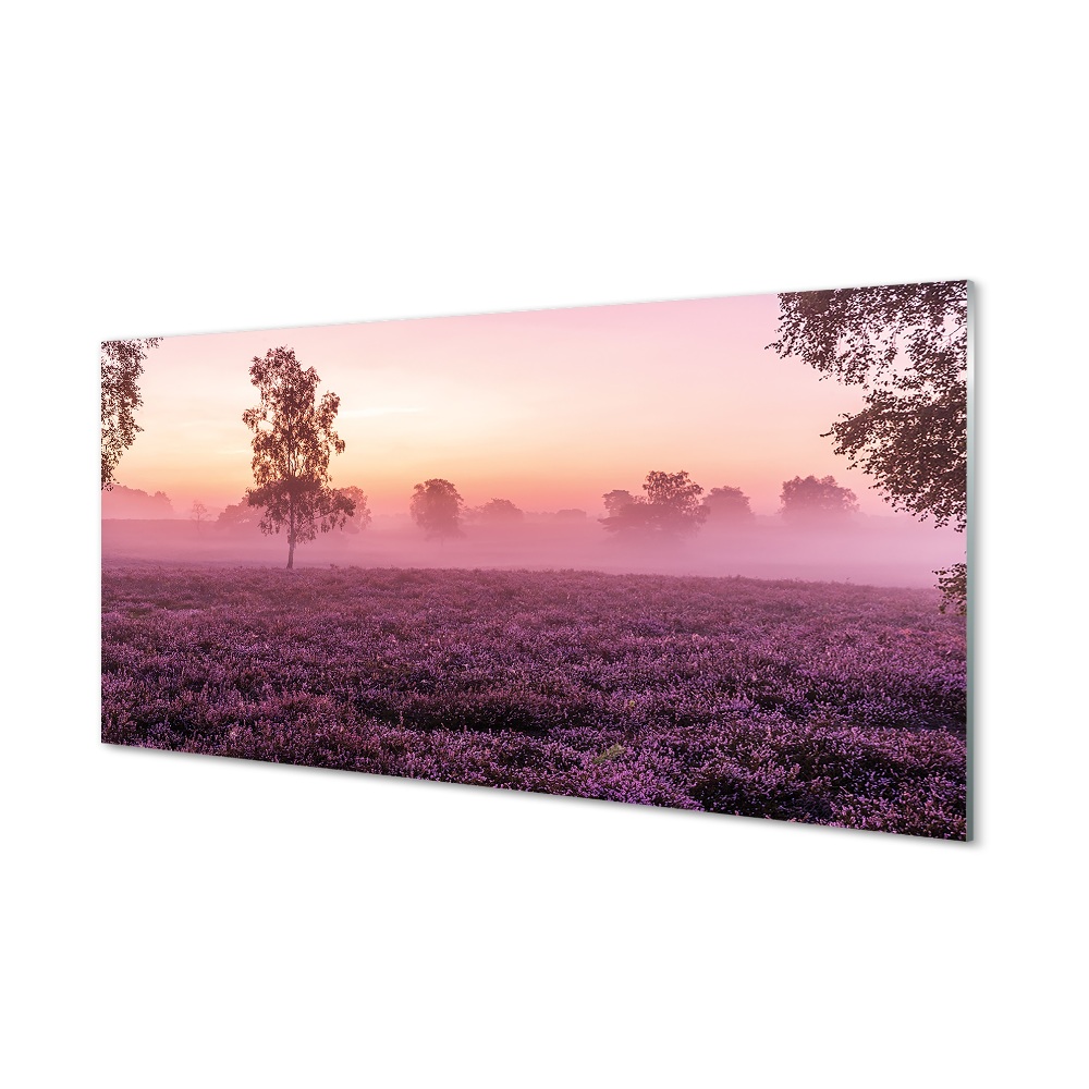 Tableau verre imprimé Bruyères sur le terrain