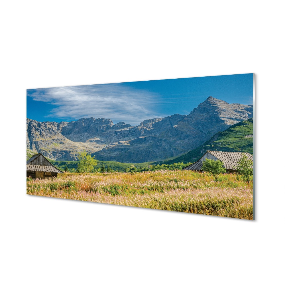 Tableau sur verre Cottages top box