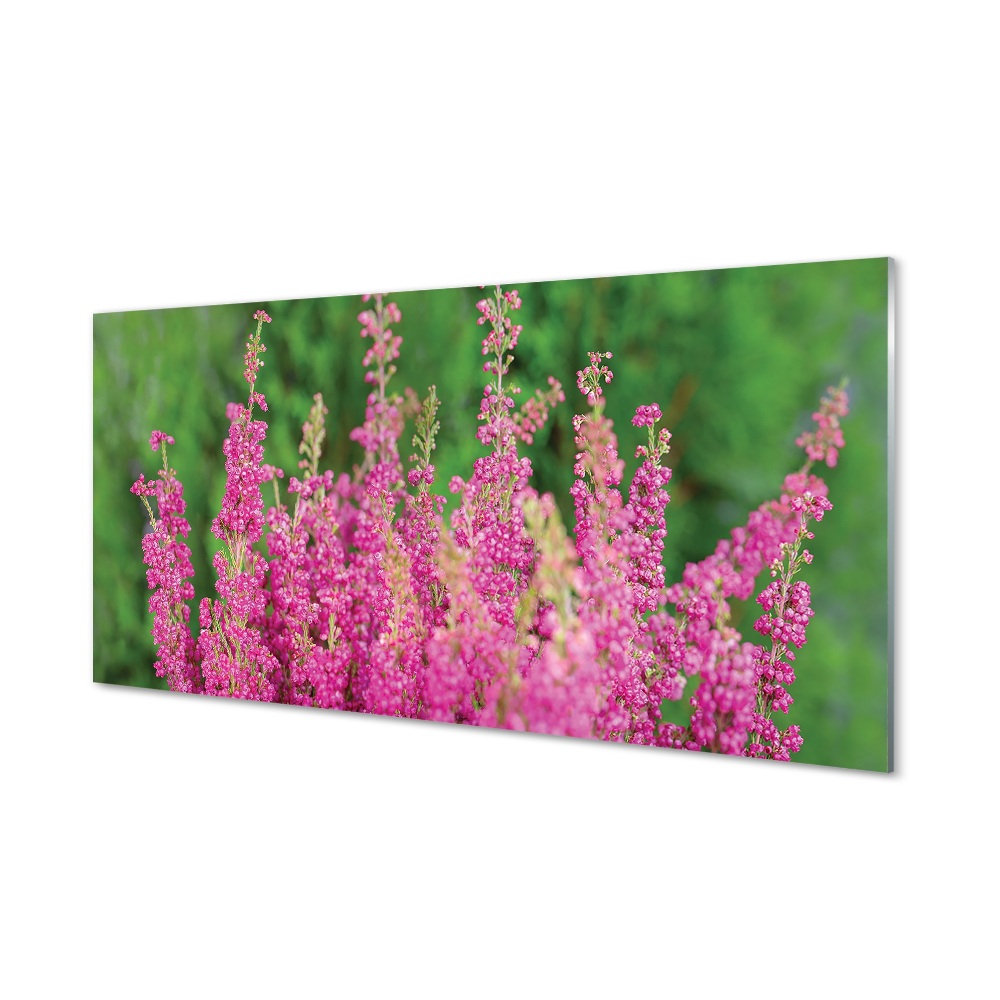 Tableau en verre Bruyères fleurs