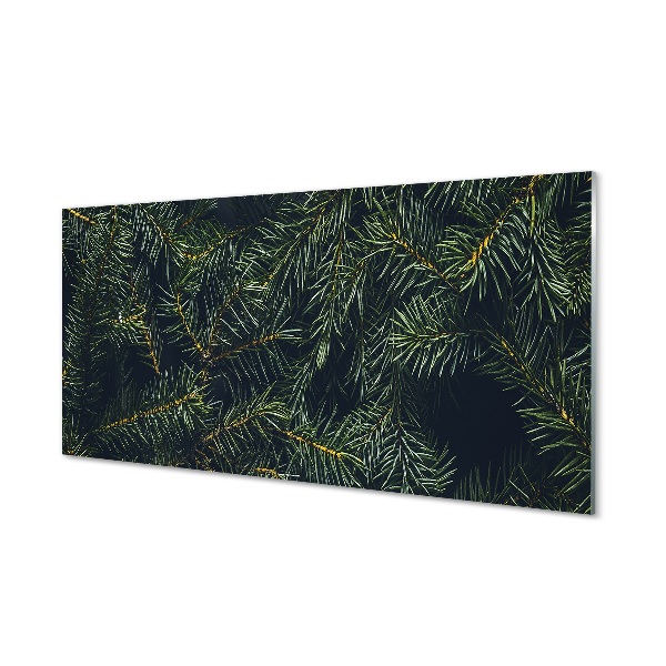 Tableau photo sur verre Brindilles d'arbre de noël