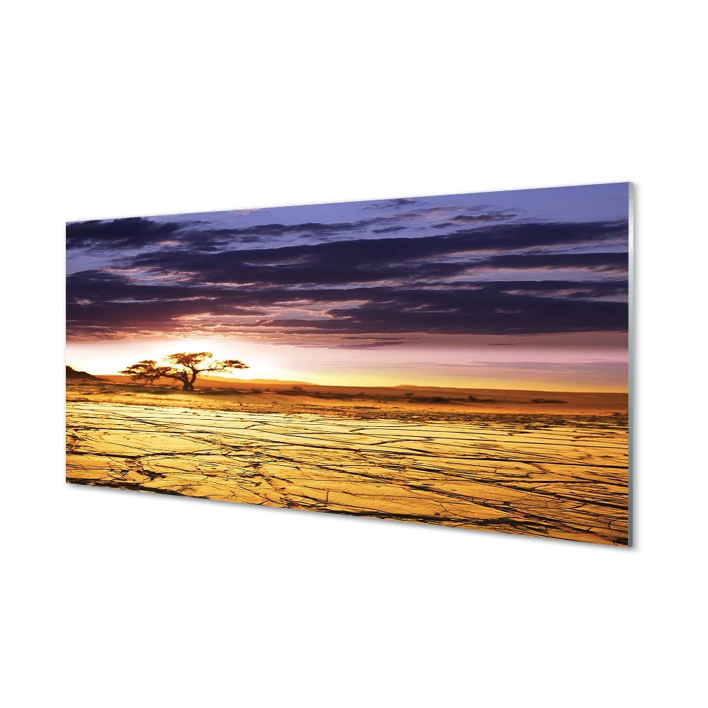 Tableau sur verre Nuages arbre ciel
