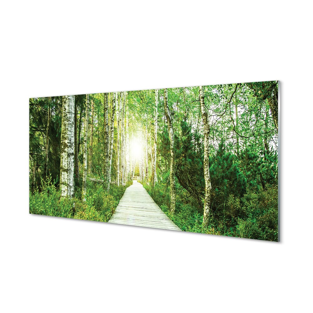 Tableau sur verre Route forestière arbre birch