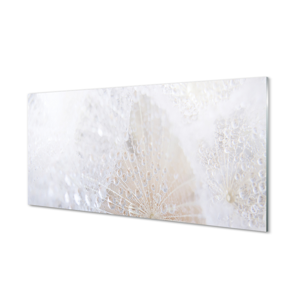 Tableau sur verre Pissenlit abstraction gouttes