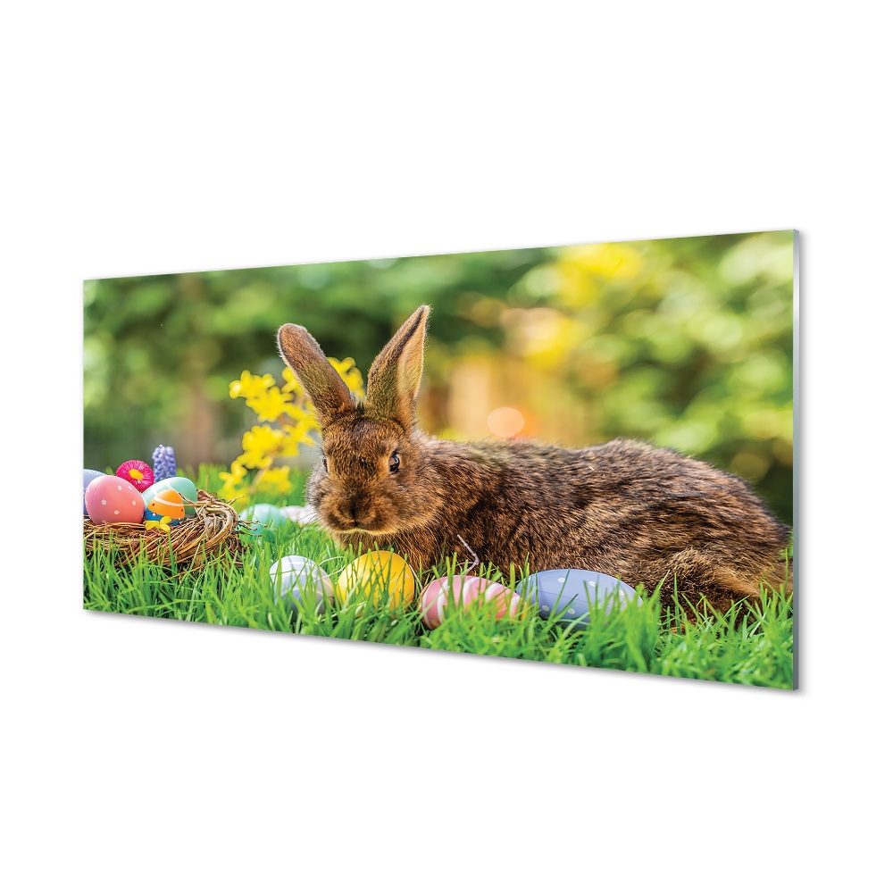 Tableau sur verre Œufs de lapin prairie