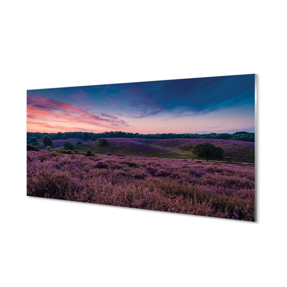 Tableau sur verre Bruyères sur le terrain