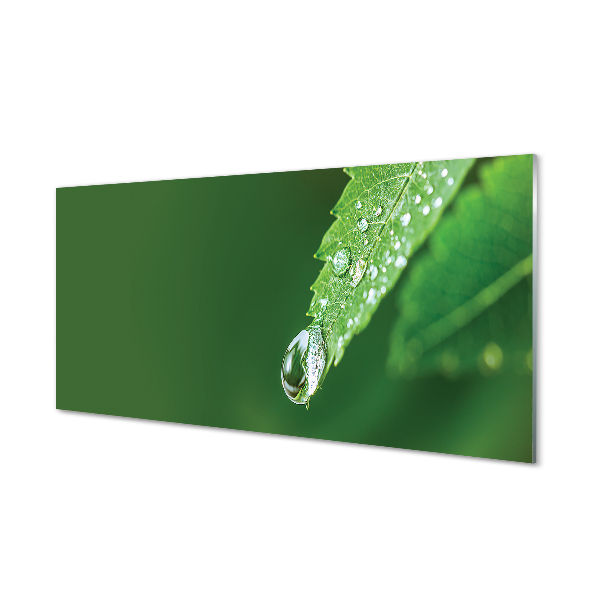 Tableau photo sur verre Feuille de goutte d'eau