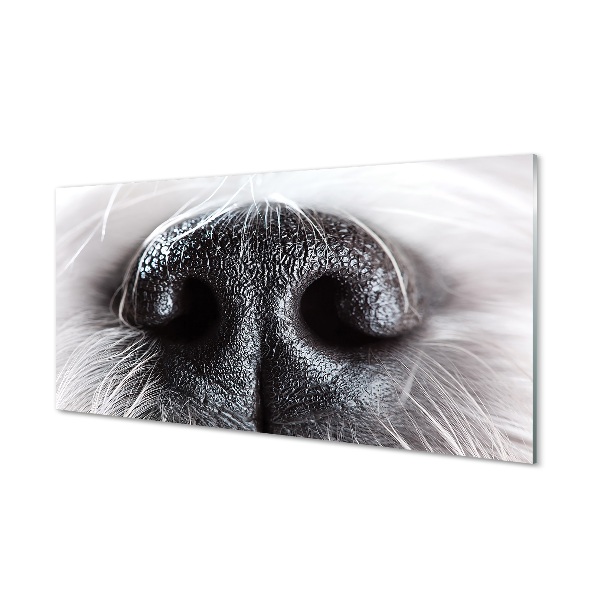 Tableau verre imprimé Nez de chien