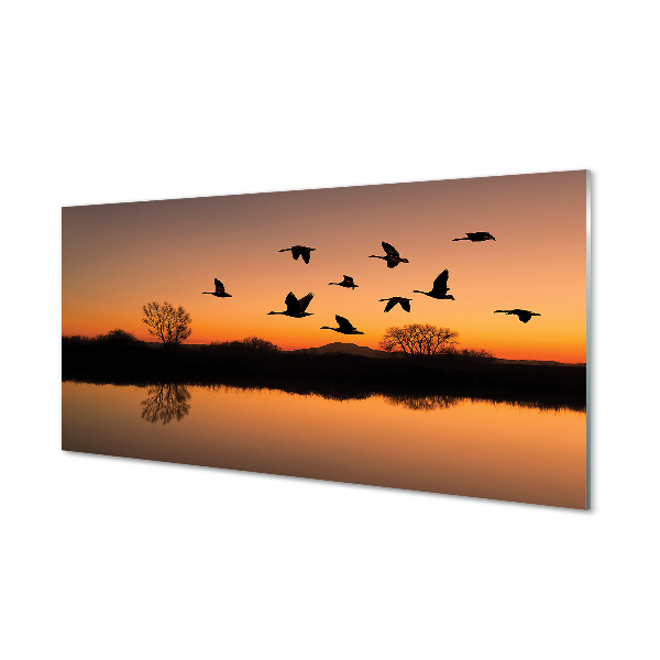 Tableau imprimé sur verre Coucher de soleil oiseaux volants