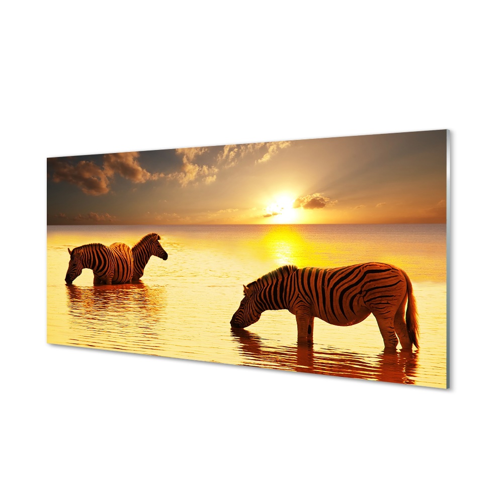 Tableau en verre Coucher du soleil de l'eau zèbres