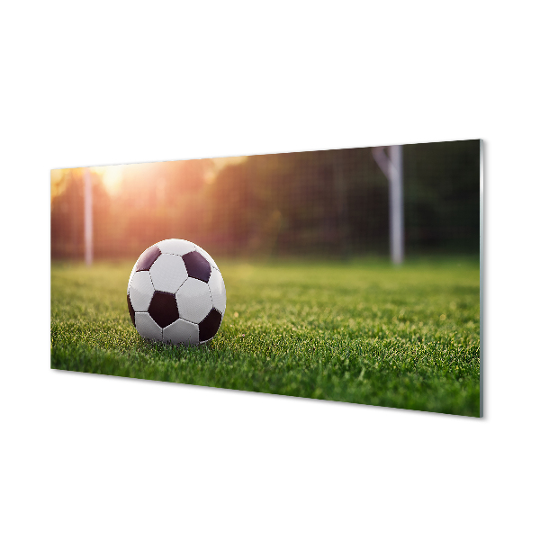 Tableau photo sur verre Passerelle d'herbe de football