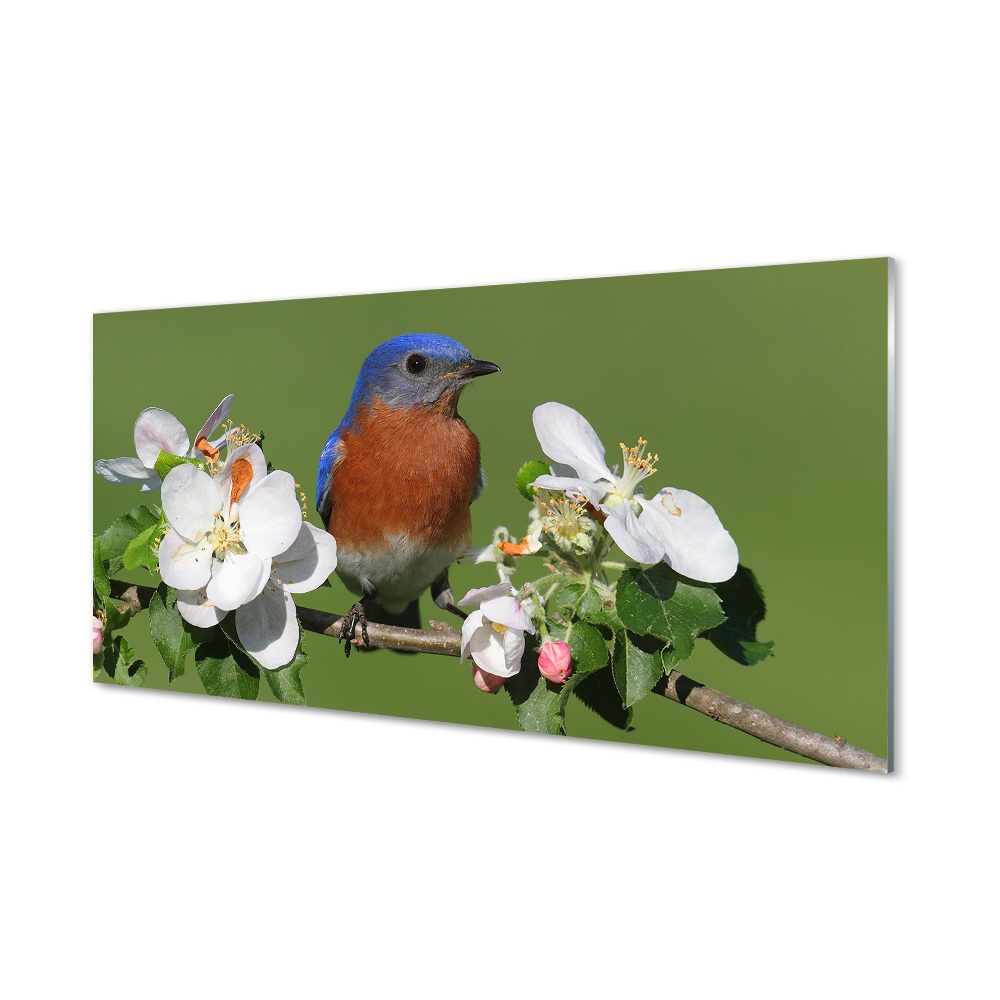 Tableau verre imprimé Fleurs perroquet coloré