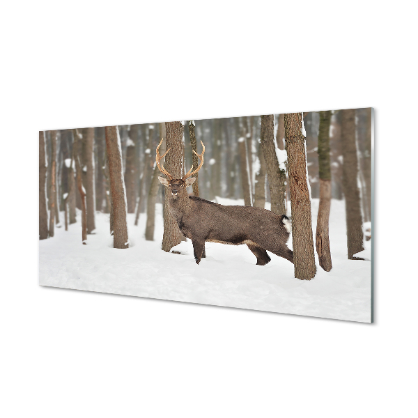 Tableau imprimé sur verre Cerf forêt d'hiver