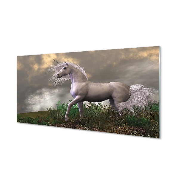 Tableau sur verre Nuages ​​licorne