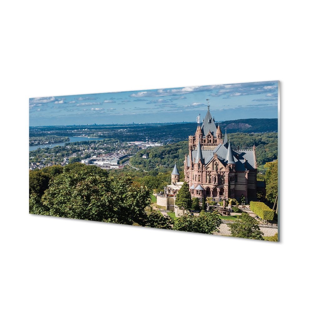 Tableau verre imprimé Allemagne panorama du château de la ville