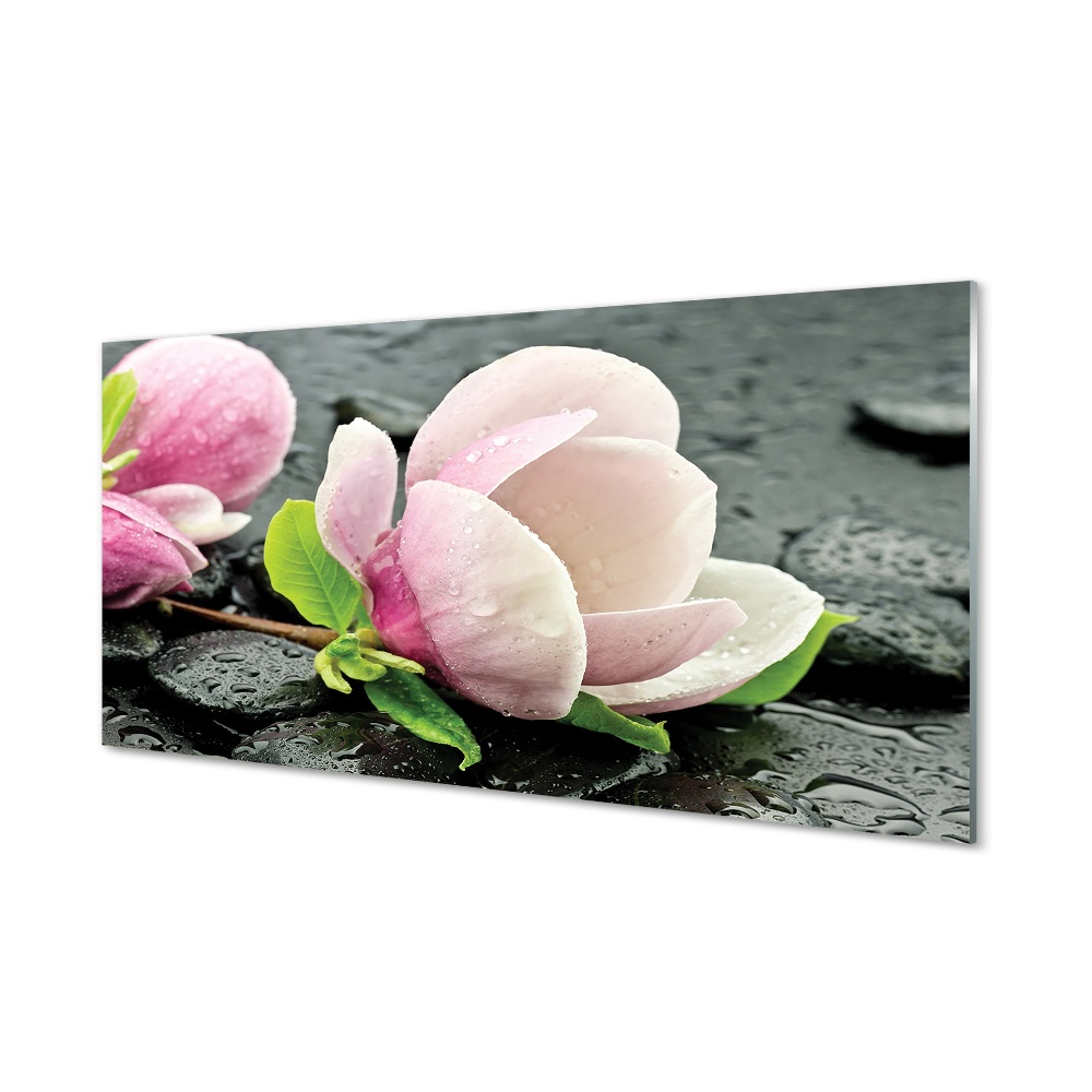 Tableau imprimé sur verre Magnolia pierres