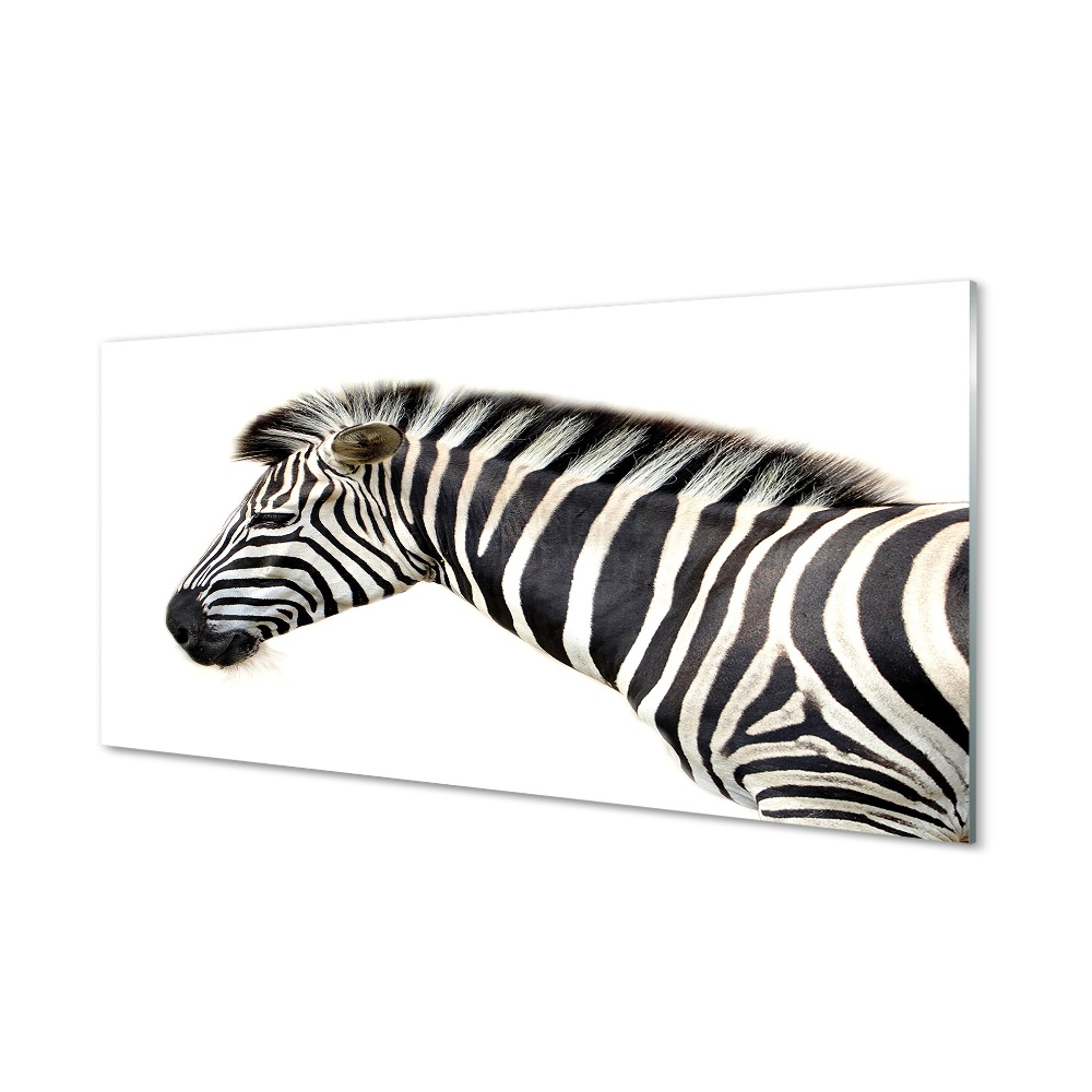 Tableau verre imprimé Zèbre